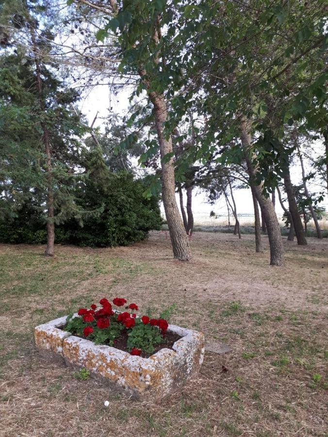 Il Casale Falagario Stacca Villa Altamura Bagian luar foto